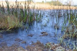 Parki i ogrody ziemi wieluńskiej - Załęczański Park Krajobrazowy - jeden z najpiękniejszych parków w Polsce, bo otulający zakole Warty